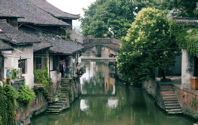 生肖马2024年1月份的健康展望